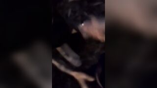 Pompino all'aperto dalla fidanzata