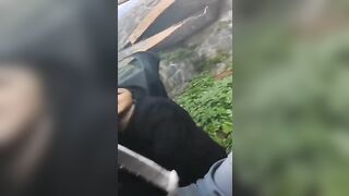 Ragazza di Savona spompina a bordo strada