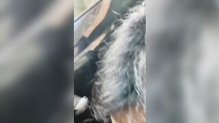 Ragazza di Savona spompina a bordo strada