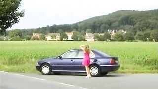 Il camionista puttaniere