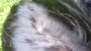 Pompino di San Silvestro