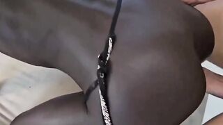 Toro italiano scopa una bella negretta