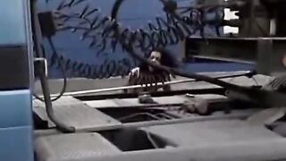 Troietta nera cattura un camionista