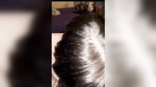 SPERO CHE TI PIACCIANO LE LIVE ! MAIALE !