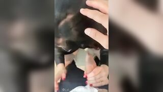 Al suo compleanno nel bagno delle donne lei lo succhia