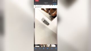 Vanitosa troia italiana tatuata fa una diretta