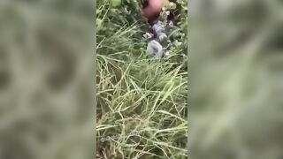 Il guardone riprende due che scopano