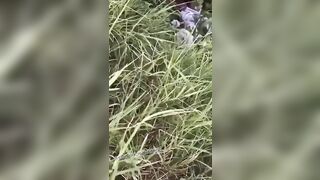 Il guardone riprende due che scopano