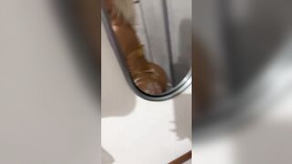 Selfie della biondina italiana allo specchio