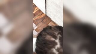 Pompino in Alto Adige dopo la sciata