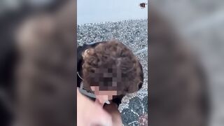 Pompino con vista mozzafiato sul Golfo