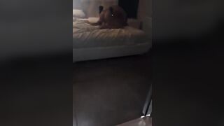 Il cornuto osserva la moglie tromba