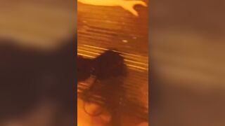 Moglie esibizionista si masturba al parco pubblico