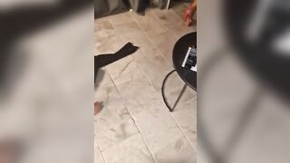 Aveva la figa asciutta così il bull l'ha sditalinata