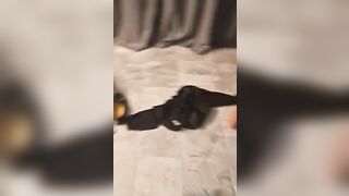 Aveva la figa asciutta così il bull l'ha sditalinata