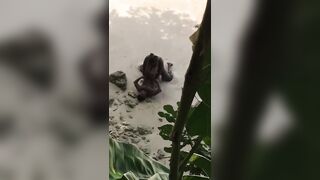 Anteprima del video: Negro filmato mentre scopa la sua donna