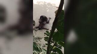 Negro filmato mentre scopa la sua donna