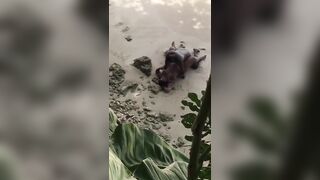 Negro filmato mentre scopa la sua donna