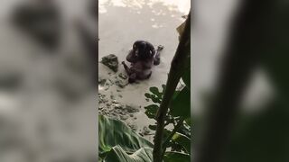 Negro filmato mentre scopa la sua donna