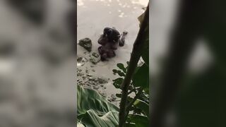 Negro filmato mentre scopa la sua donna