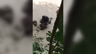 Negro filmato mentre scopa la sua donna