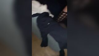 Moglie piacentina scopata da un bull