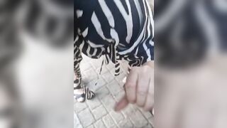 Mia moglie maialona si diverte con 3 uccelli