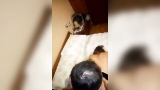 A mia moglie il cazzo del suo bull non basta mai