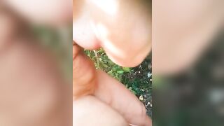 In gita nel bosco troviamo sempre un cazzo per lei