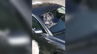 Mia moglie si sditaliana al parcheggio pubblico