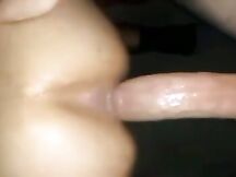 Il bull distruttore di culi