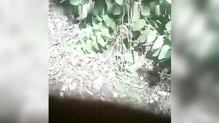 Al parco pubblico imboscati deitro un cespuglio