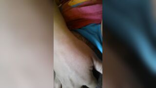 Amica di Coppia Giocosa in Attesa della Monta