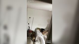 SPIO STEFANIA COL SUO AMICO