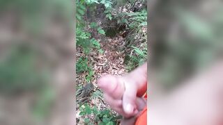 Vado a segarmi nel bosco perchè avevo troppa voglia