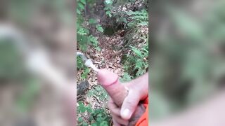 Anteprima del video: Vado a segarmi nel bosco perchè avevo troppa voglia