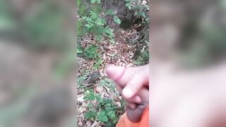 Vado a segarmi nel bosco perchè avevo troppa voglia