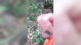 Vado a segarmi nel bosco perchè avevo troppa voglia