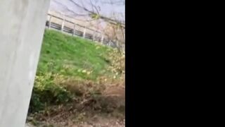 TI PIACE IL CAZZO? DIALOGHI ITALIANO