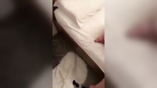 Succhi benissimo, mettiti a pecorina - La fidanzata riceve una pompa e una scopata