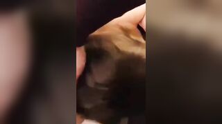 Che troia, adora fare sesso di gruppo. Succhia il cazzo, porca