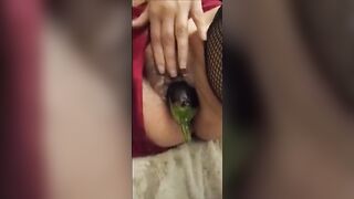 Anteprima del video: Masturbo mia moglie con una melanzana nella sua vagina