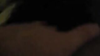 SEI UN PORCO SEI UN MAIALE !!!