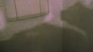 SEI UN PORCO SEI UN MAIALE !!!