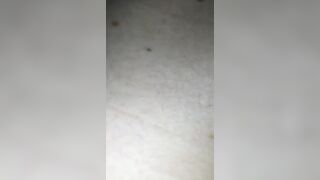 Paola moglie del mio amico cornuto GIacomo