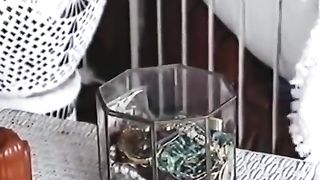 Sesso vintage con due MILF