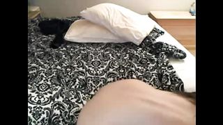 Bella bruna amatoriale si massaggia la fica