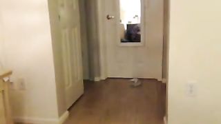 Brunetta si smazza la fica depilata