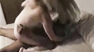 Bull di colore chiava mia moglie