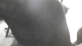 Sex Tape di Colin Farrell e Nicole Narain